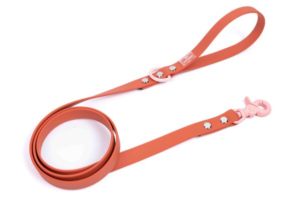 Οδηγός Κανελί/ Ρόζ