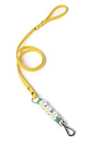Blossom Leash White/ Green/ Yellow Sequin