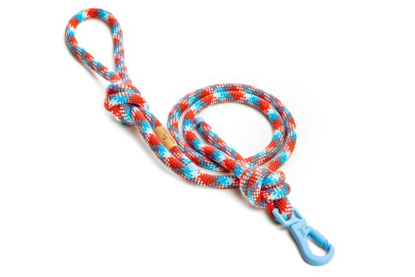 Climbing Leash Blazed Ice