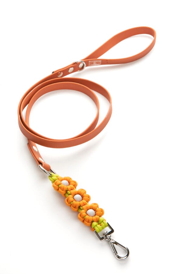 blossom leash orange lime scaled