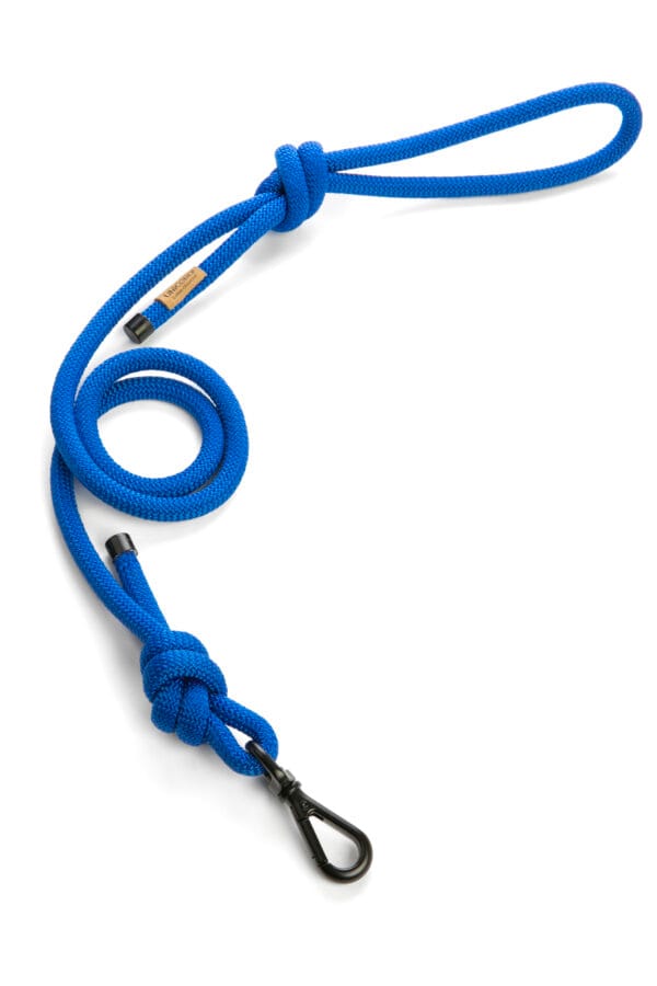 climbing leash blue