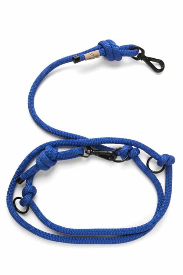 hands free leash blue scaled