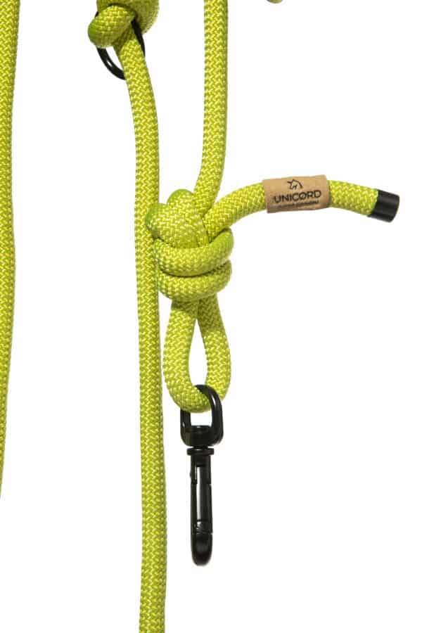 hands free leash lime 2 scaled