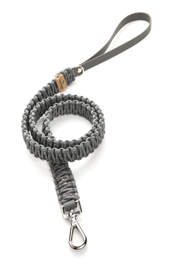 Skyscraper Leash Steel