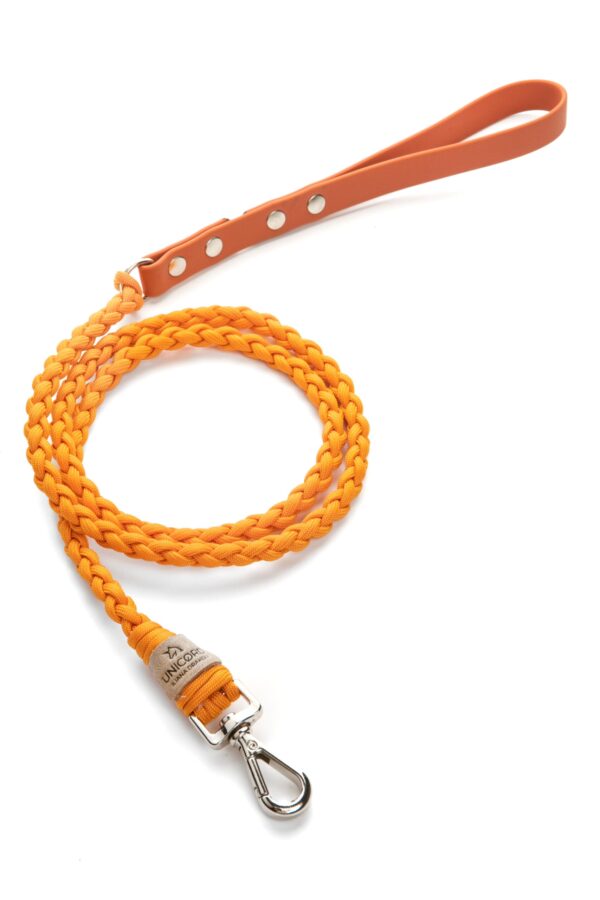 Waterfall Leash Custom
