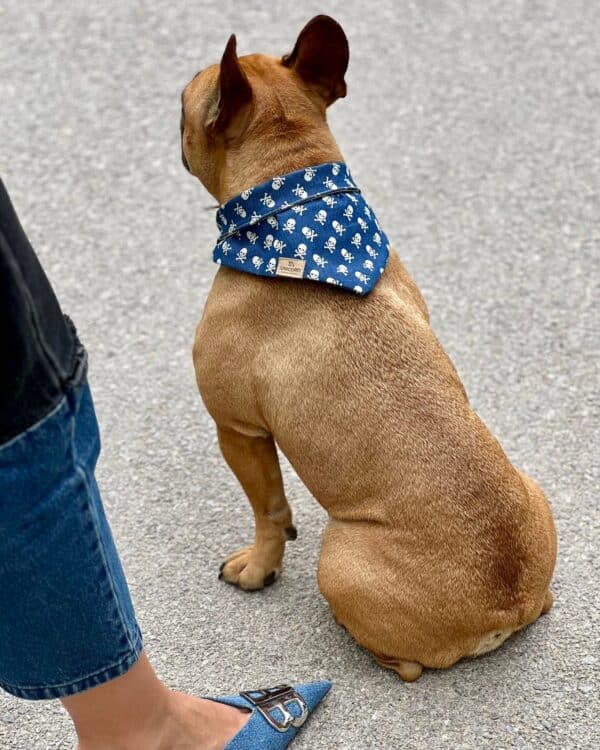 Deadhead Bandana