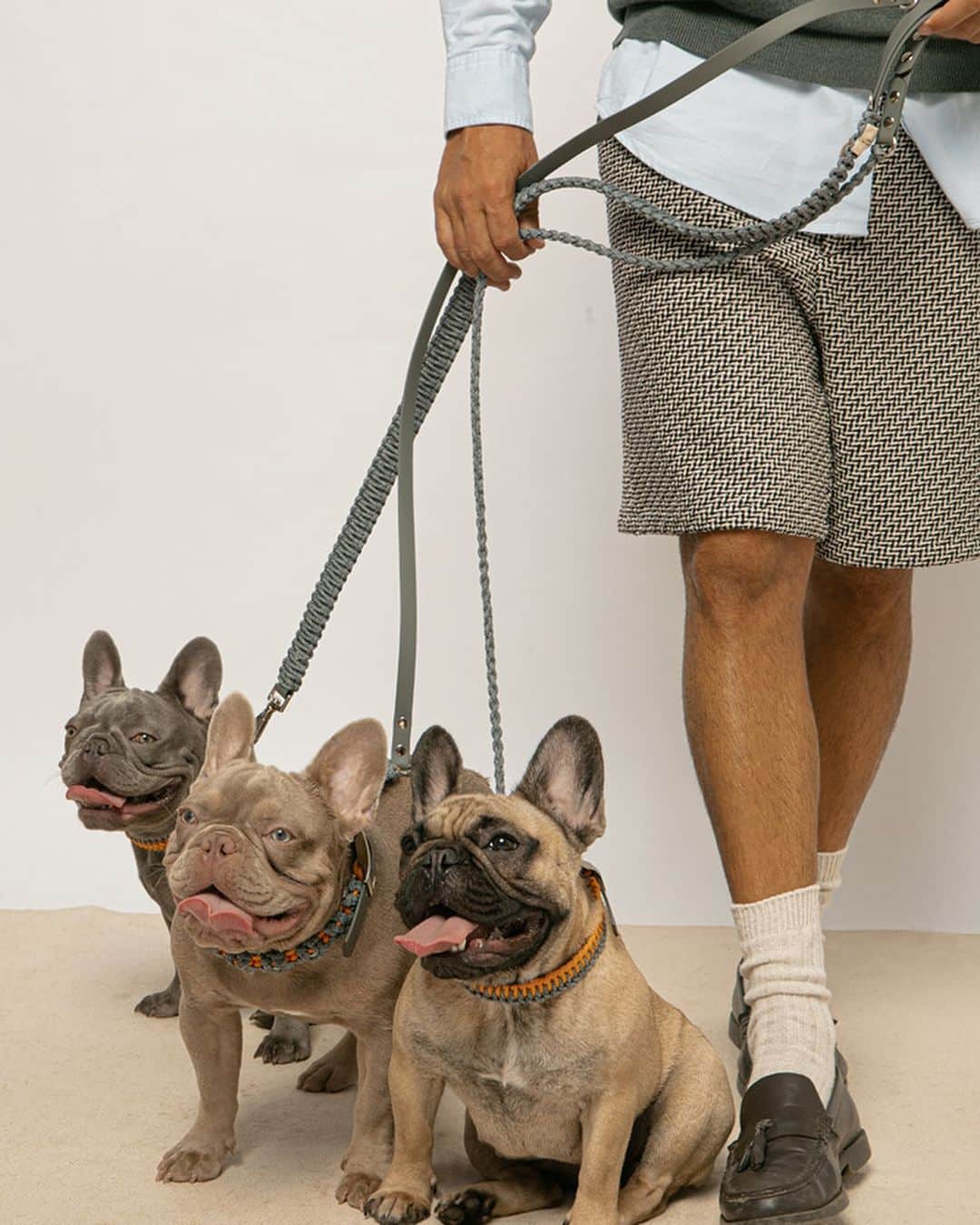 Sunday walk with daddy but make it fashion Three Frenchies three styles one effortlessly chic look. From the bold Blossom set with the soft mandarin the sleek Skyscraper in urban grey to the fr