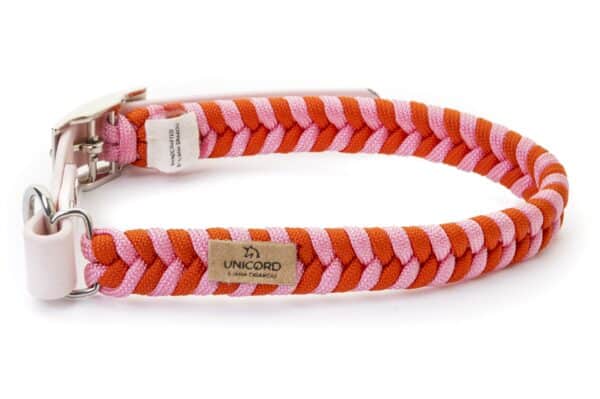 Lollipop Pink/Orange (Cat)