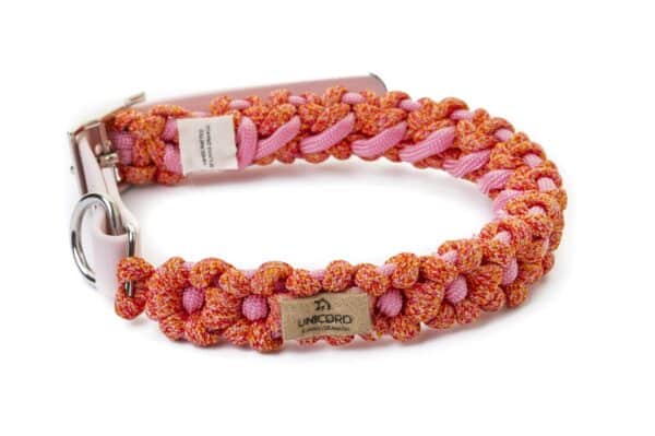 Flower Power collar Flame/Pink (Cat)