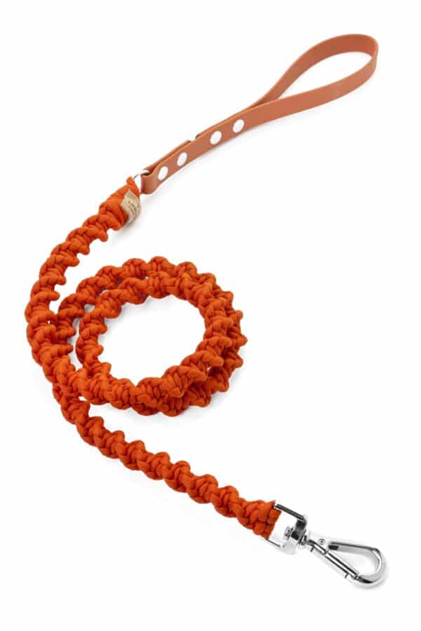 DNA Leash Orange