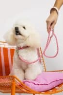 Waterfall Leash Pink