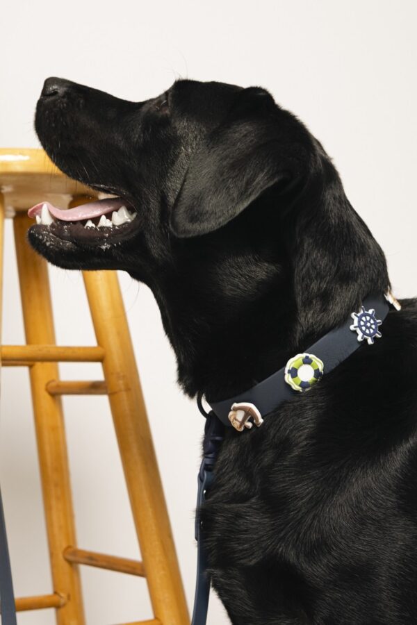 Waterproof Crocs Charm Collar Μπλε Navy Sailor