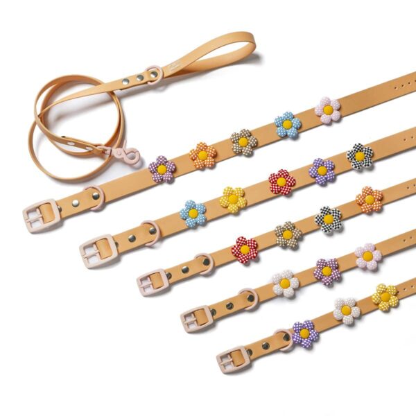 Waterproof Leash Σωμόν