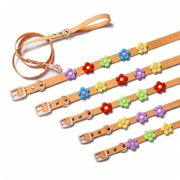 Waterproof Leash Salmon