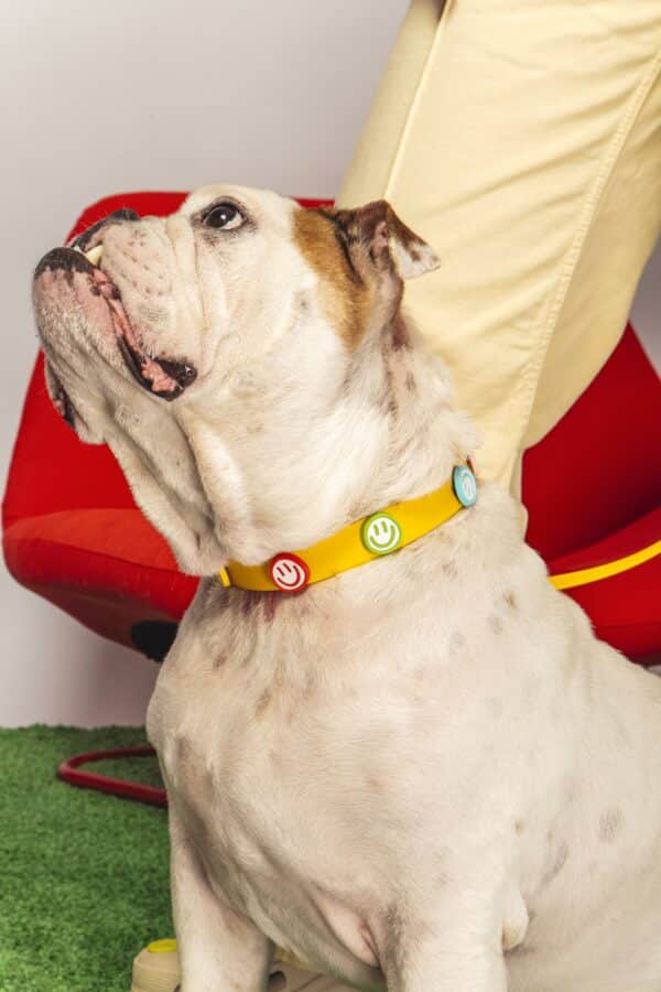 Waterproof Crocs Charm Collar Yellow Smile