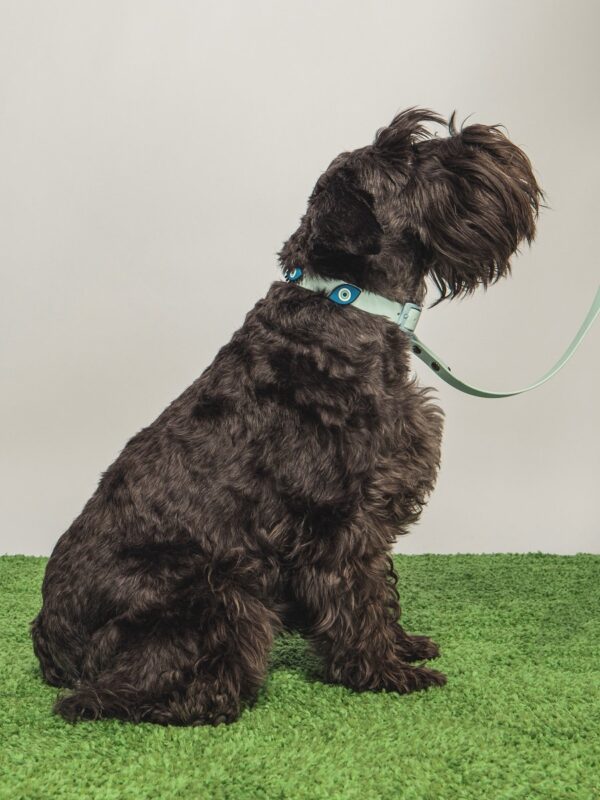 Waterproof Crocs Charm Collar Γαλάζιο Evil Eye