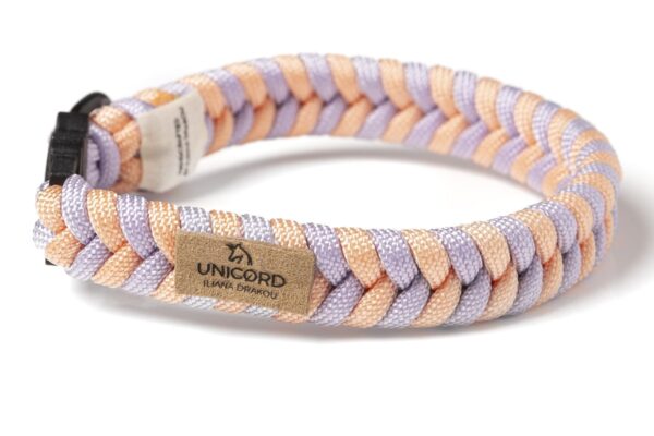 Lollipop Lilac/Orange pastel (Cat)