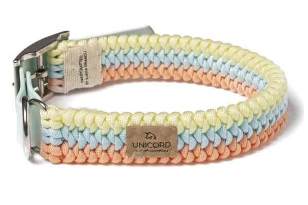 Rainbow Κίτρινο παστέλ/Πορτοκαλί παστέλ (Γάτα)