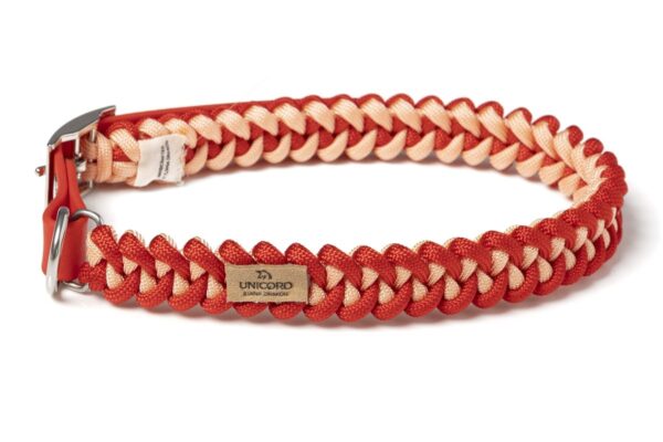 Shark Teeth Πορτοκαλί παστέλ/Κόκκινο (Γάτα)