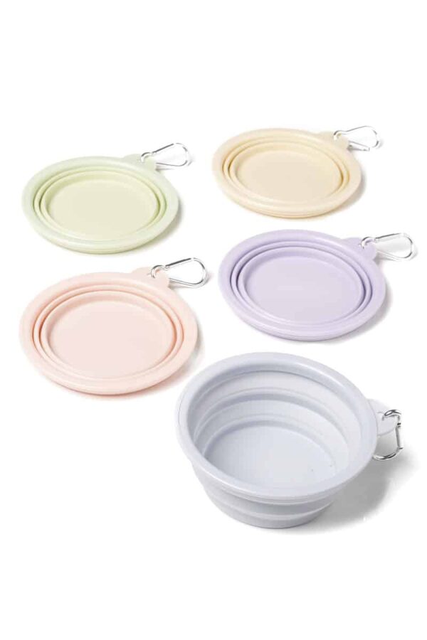 Πτυσσόμενου μπολ νερού