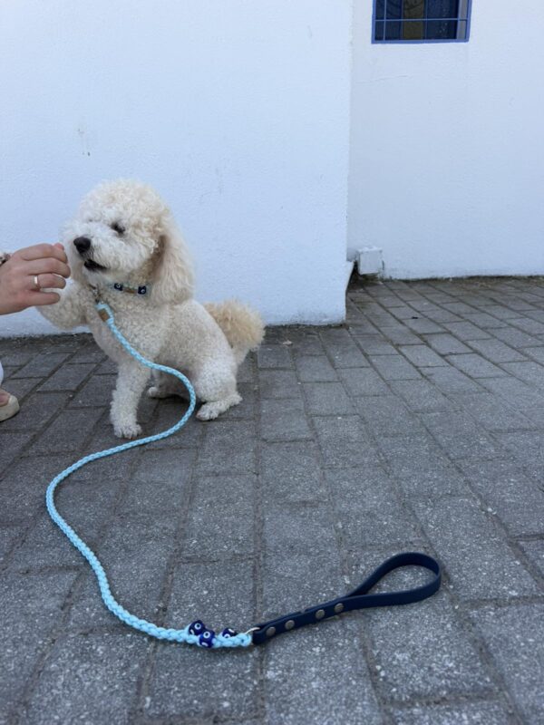 Waterfall Leash Evil Eye