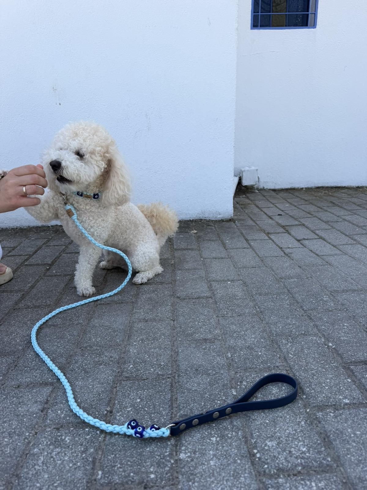 Waterfall Leash Evil Eye 1 Waterfall Leash Evil Eye